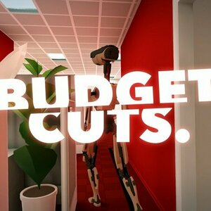 Budget Cuts