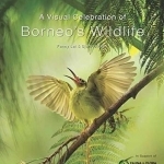 Visual Celebration of Borneo&#039;s Wildlife