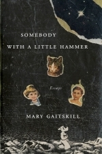 Somebody with a Little Hammer: Essays