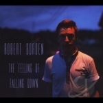 Feeling of Falling Down by Robert Borden