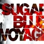 Voyage by Sugar Blue