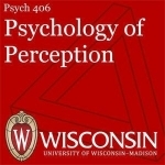 Psych 406: Psychology of Perception