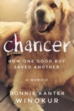 Chancer: How One Good Boy Saved Another