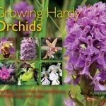 Growing Hardy Orchids