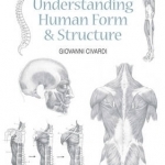 Understanding Human Form &amp; Structure