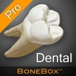 BoneBox™ - Dental Pro