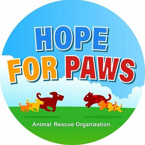 Hope For Paws - Official Rescue Channel