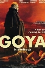 Goya in Bordeaux (2000)