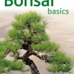 Bonsai Basics: A Comprehensive Guide to Care and Cultivation