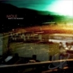 What&#039;s the Meaning? by The Mole Techno