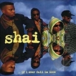 ...If I Ever Fall in Love by Shai