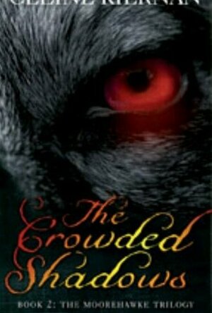 The Crowded Shadows