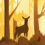 Wildfulness 2 - Nature Sounds for Stress Relief