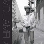 David Lamelas - A Life of Their Own