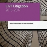 Civil Litigation 2016-2017
