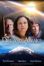 Dreams Awake (2012)