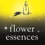 Flower Essences, Orion Plain and Simple