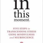 In This Moment: Five Steps to Transcending Stress Using Mindfulness and Neuroscience