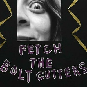 Fetch the Bolt Cutters by Fiona Apple