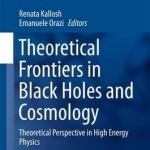 Theoretical Frontiers in Black Holes and Cosmology: Theoretical Perspective in High Energy Physics: 2016