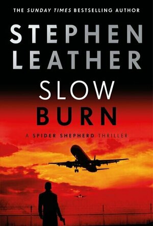 Slow Burn (Dan Shepherd #17)