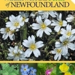 Wildflowers &amp; Ferns of Newfoundland: Field Guide