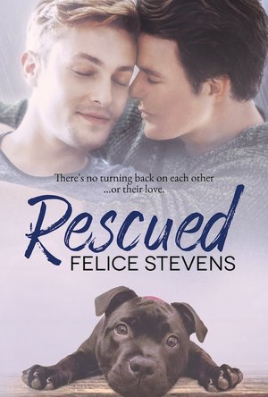 Rescued (Rescued Hearts #1)