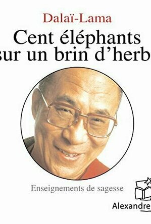 Cent Elephants Sur Un Brin D&#039;Herbe