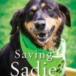Saving Sadie: How a Dog That No One Wanted Inspired the World