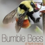 Bumblebees of North America: An Identification Guide