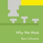 Why We Work