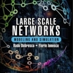 Large Scale Networks: Modeling and Simulation