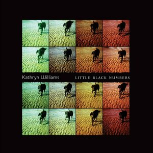 Little Black Numbers by Kathryn Williams