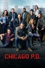 Chicago P.D.  - Season 4