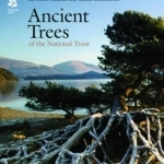 Ancient Trees of the National Trust
