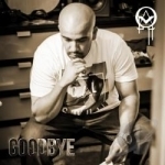 Goodbye by O The Architect