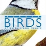 RSPB Pocket Birds of Britain and Europe