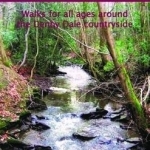 Walking in the Upper Dearne Valley: Walks for All Ages Around the Denby Dale Countryside