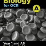 OCR A Level Biology A Year 1 Revision Guide: Year 1