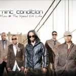 Music @ the Speed of Life by Mint Condition