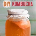 DIY Kombucha: 60 Nourishing Homemade Tonics for Health and Happiness