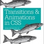 Transitions and Animations in CSS: Adding Motion with CSS