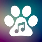 Calming Music for Dogs Anxiety and Therapy for Pet
