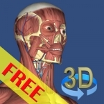 3D Bones and Organs (Anatomy)