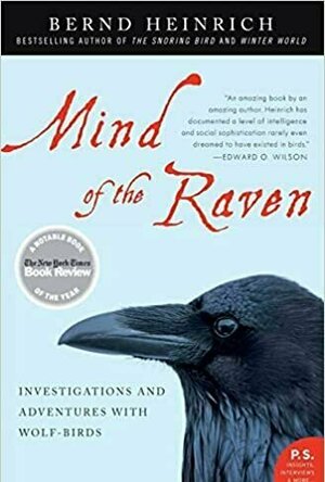 Mind of the Raven