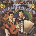Musica Flamante 20 Exitos by Los Relampagos Del Norte