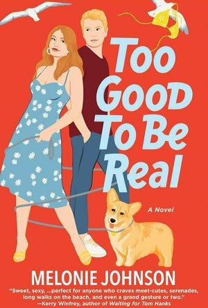 Too Good To Be Real: A Novel