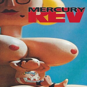 Boces by Mercury Rev