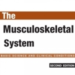 The Musculoskeletal System, 2nd Edition