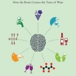 Neuroenology: How the Brain Creates the Taste of Wine